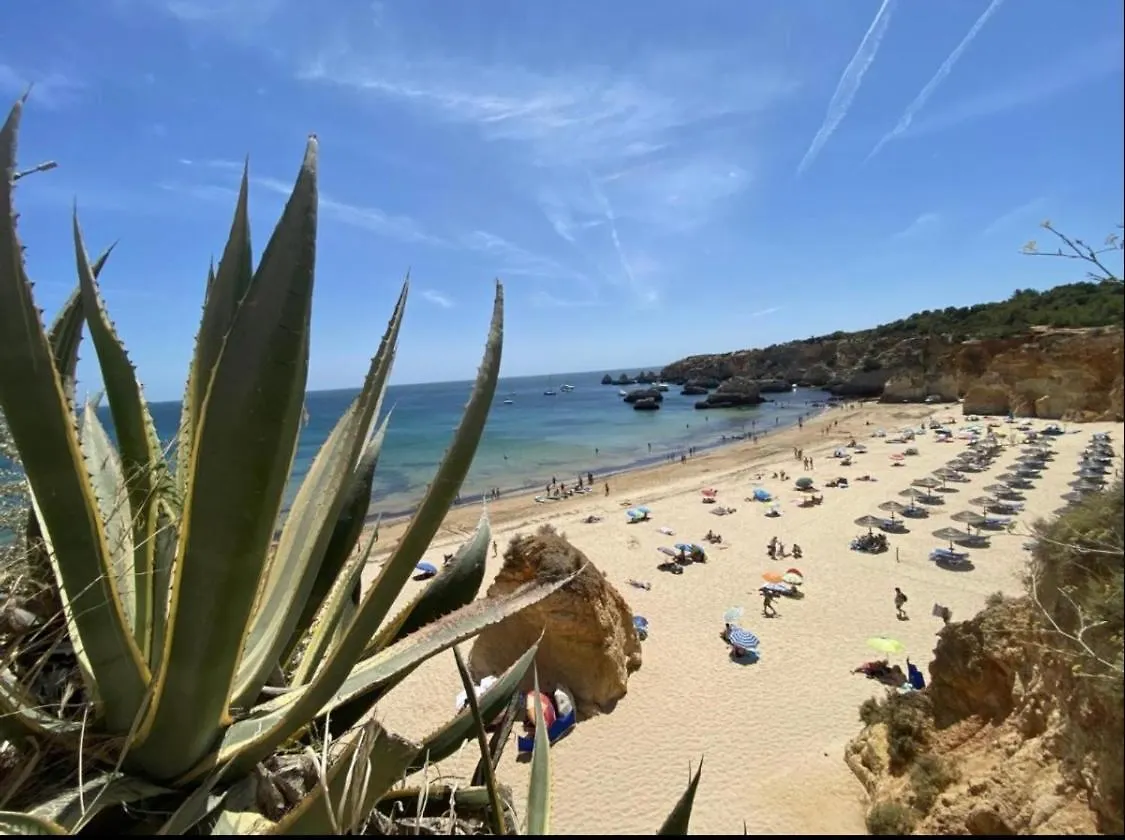 Nayjay Staycation Portimão Portugal